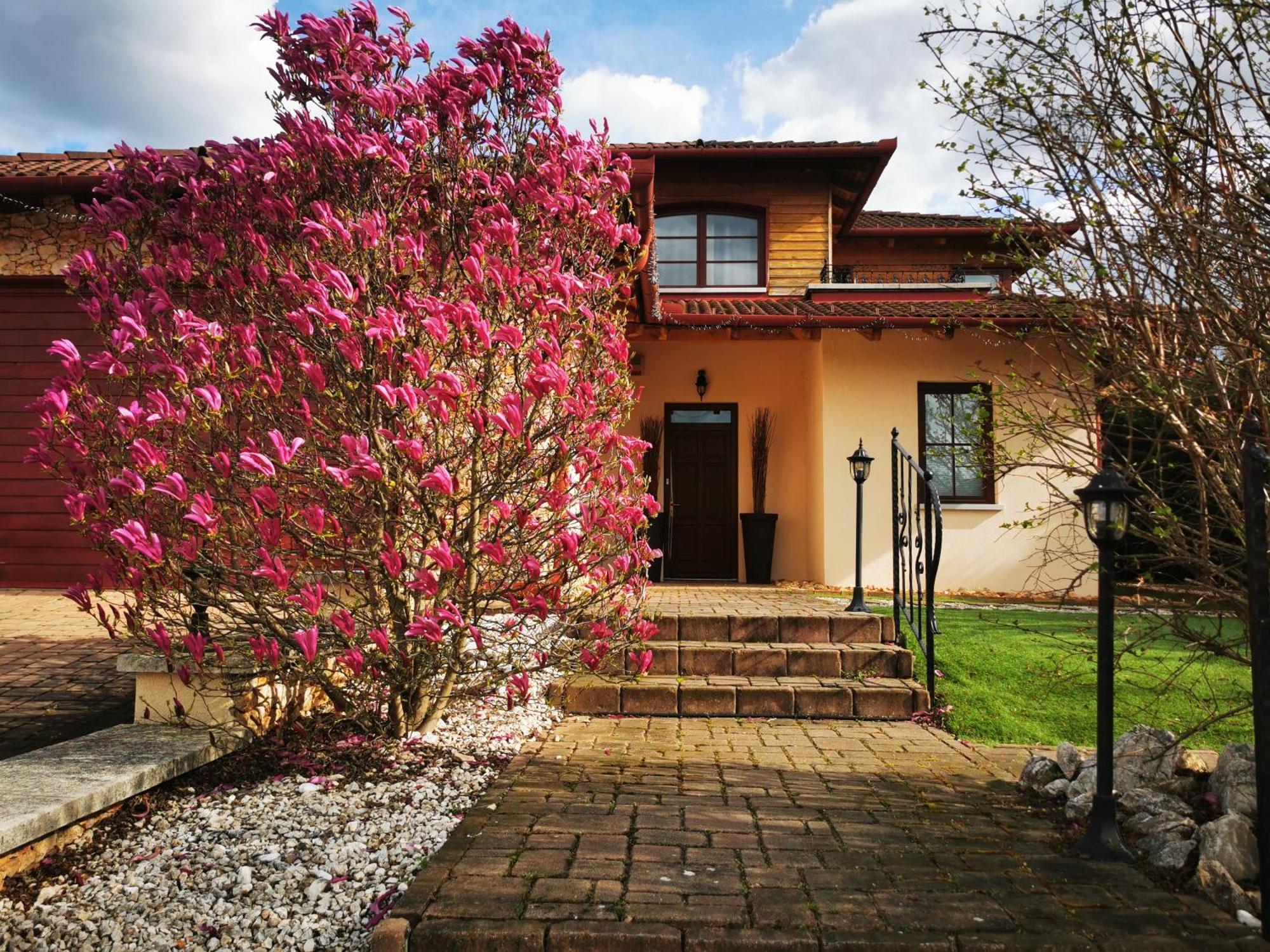 Апартаменты Luxury Basement In The Surrounding Of Budapest Модьород Экстерьер фото